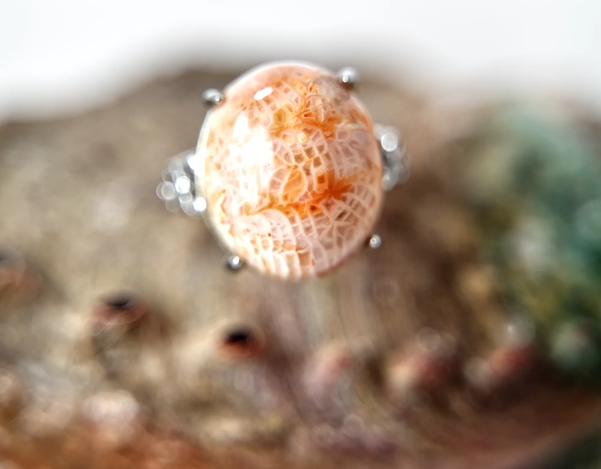 Fossil Coral Ring
